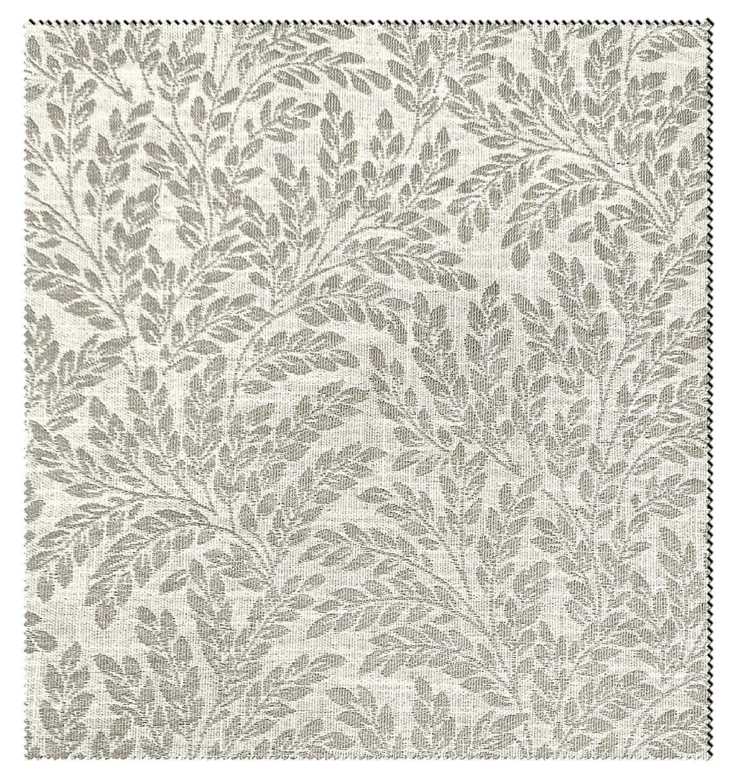 ROSEMARY-1152