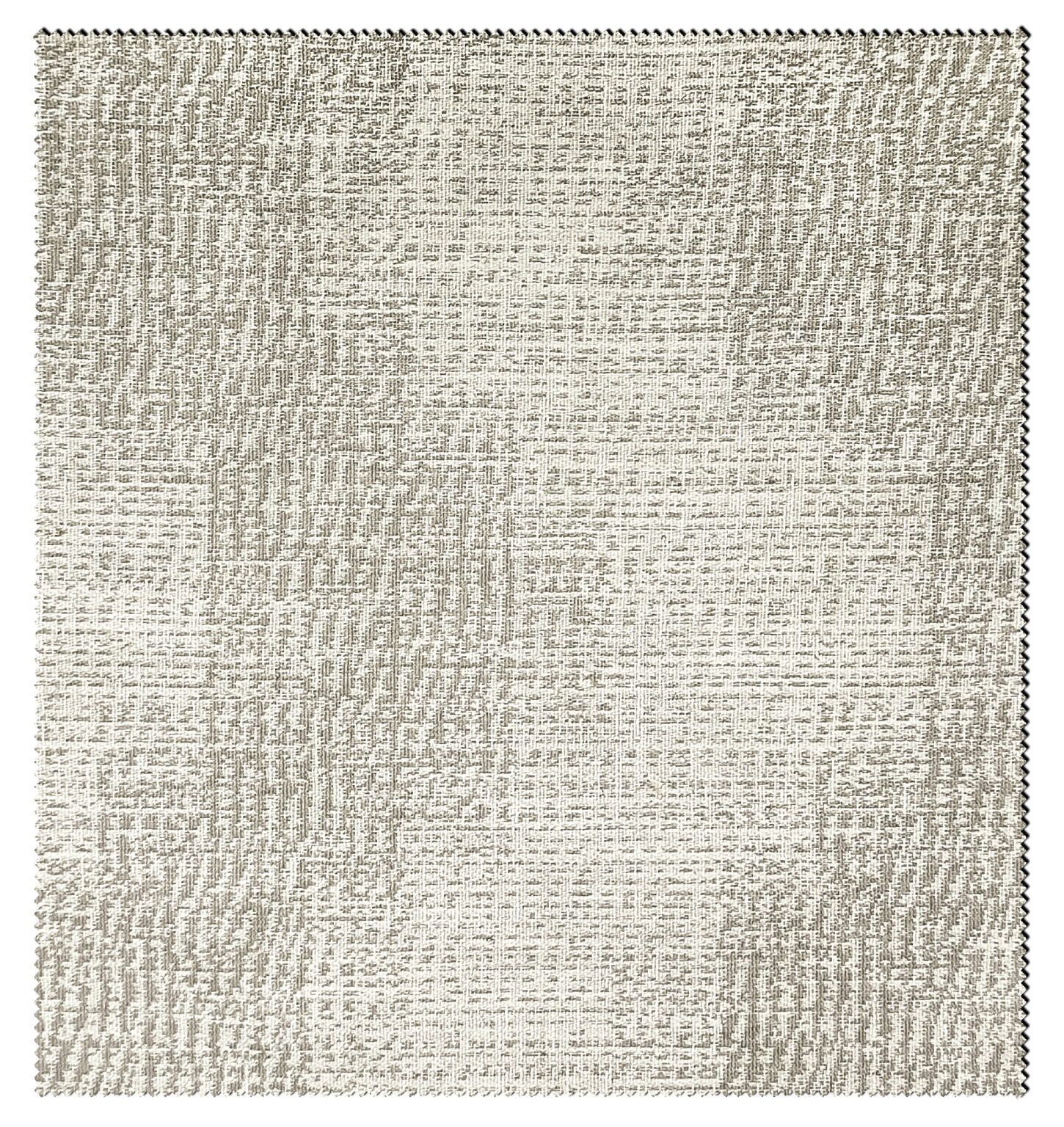 ROSEMARY-1153