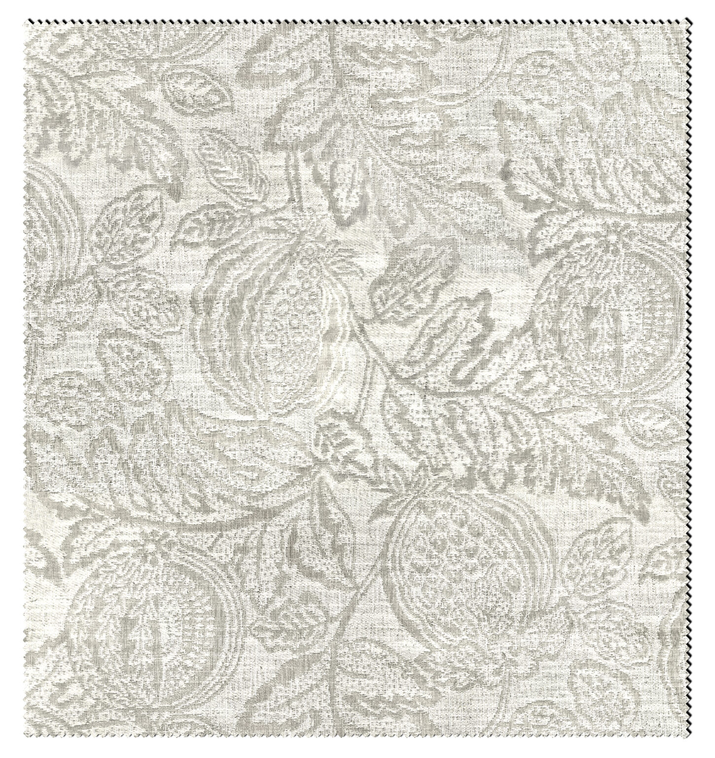 ROSEMARY-1156