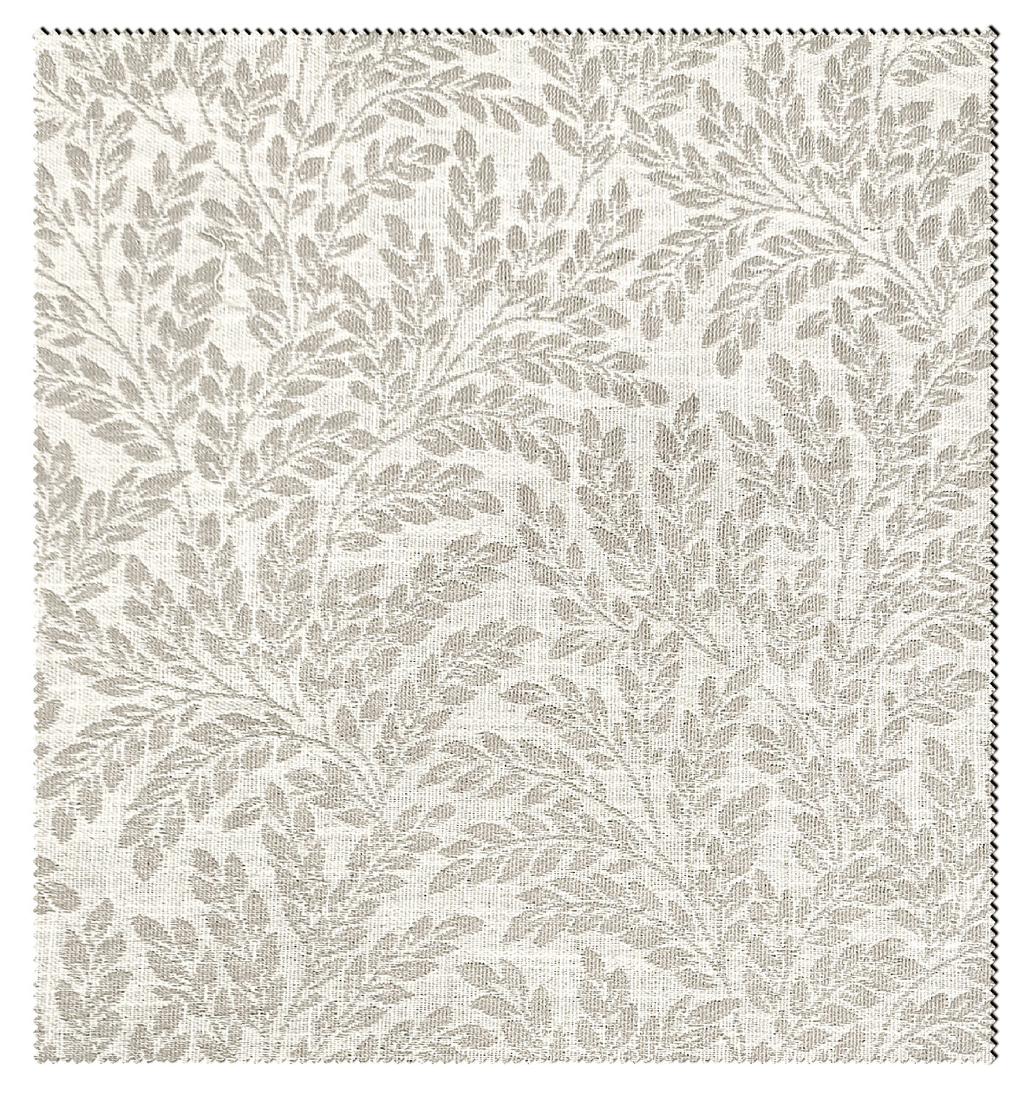 ROSEMARY-1158