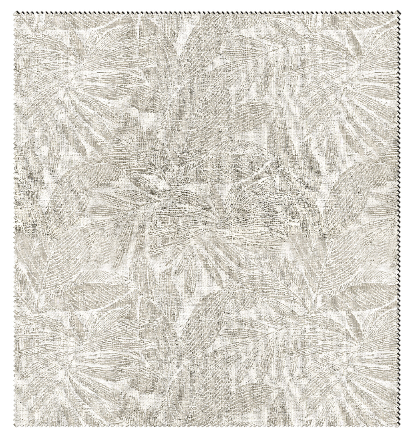 ROSEMARY-1161