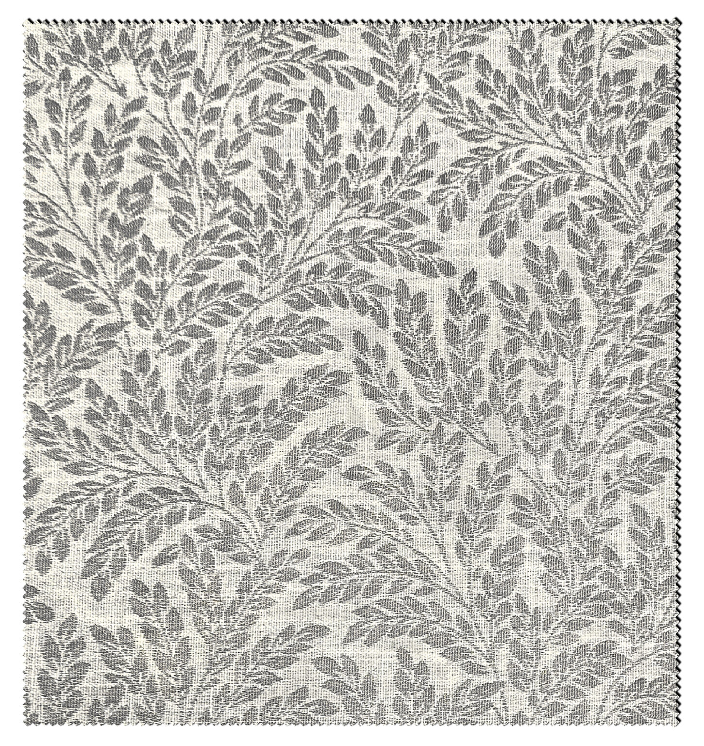 ROSEMARY-1164
