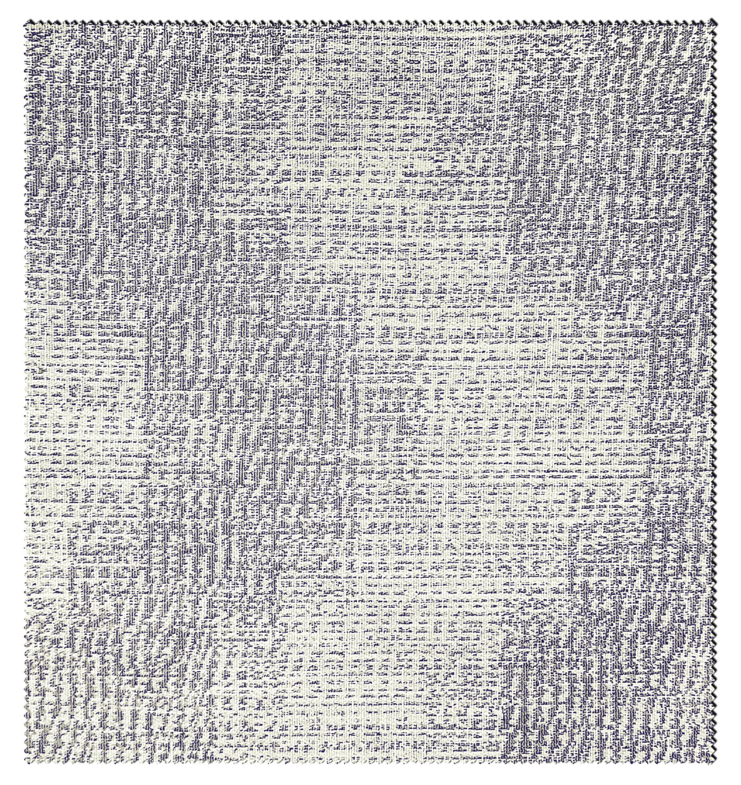 ROSEMARY-1165