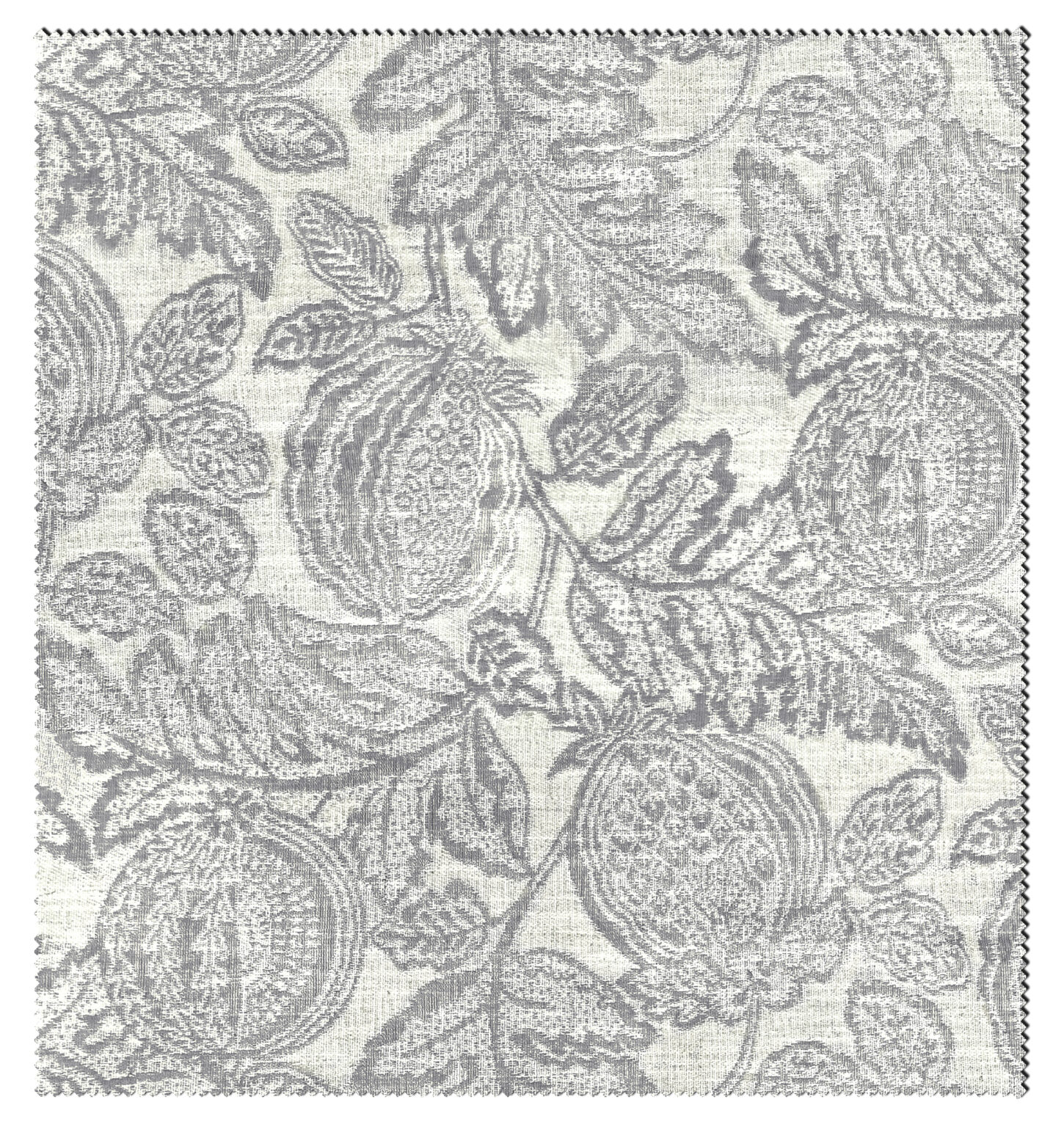 ROSEMARY-1168