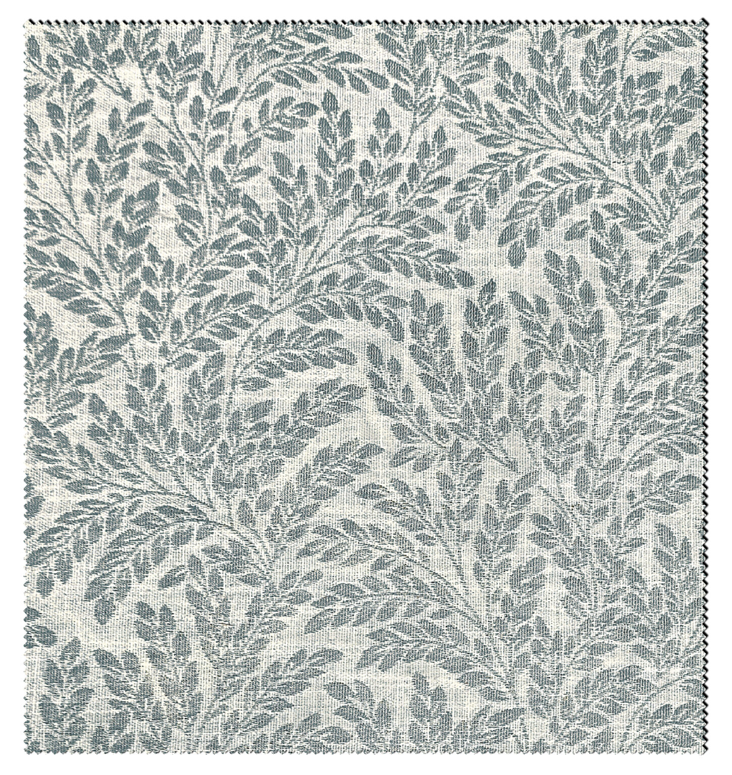 ROSEMARY-1170