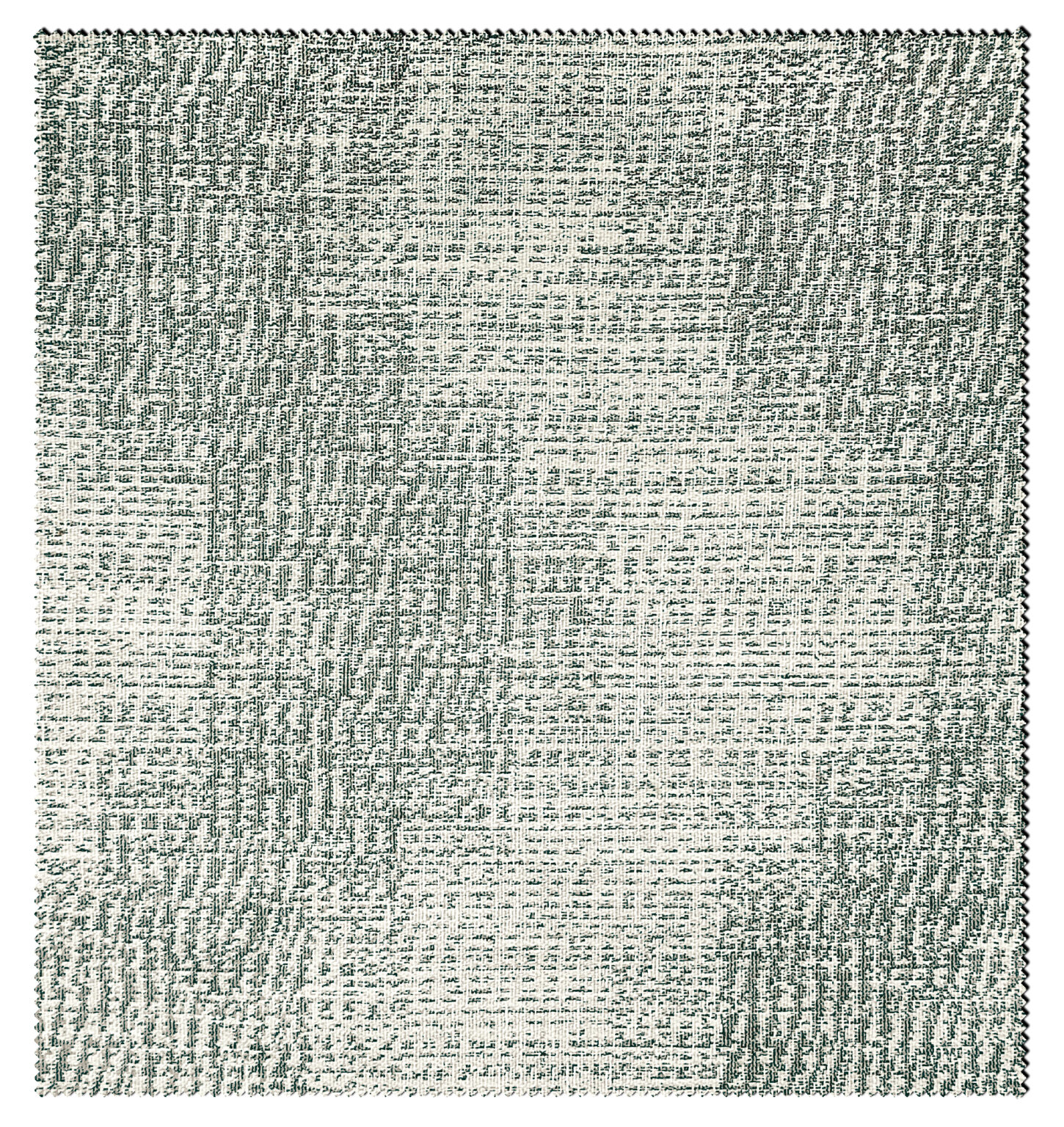 ROSEMARY-1171