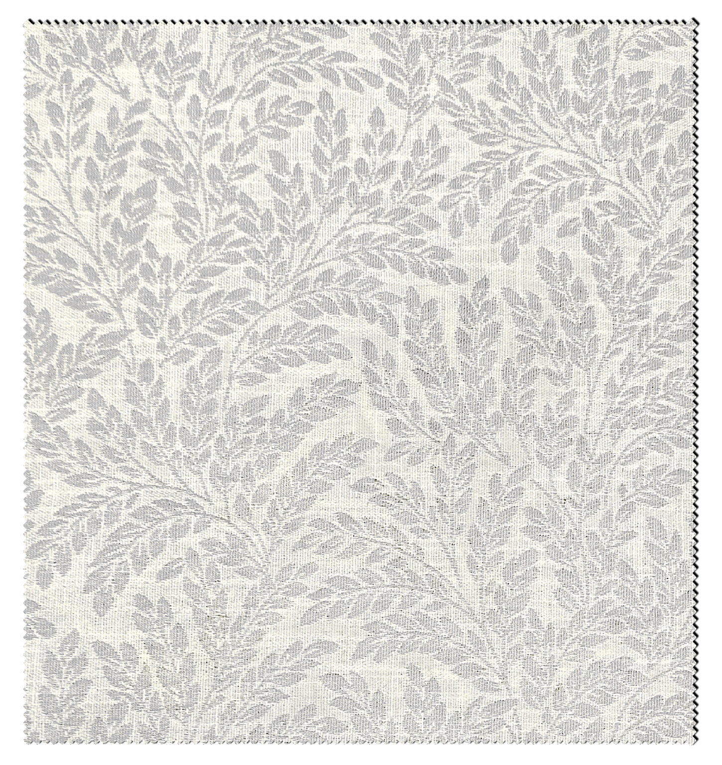 ROSEMARY-1176