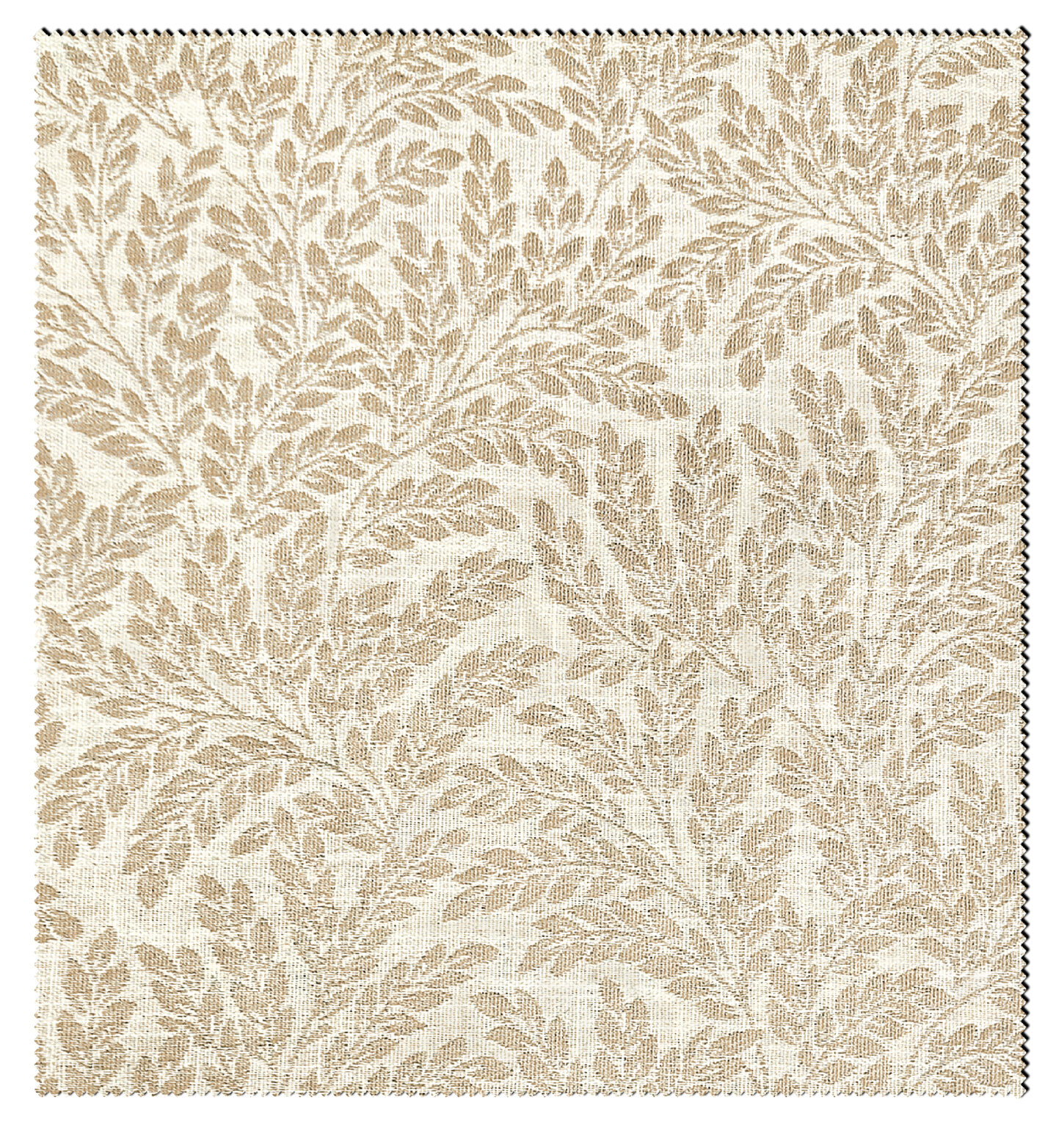 ROSEMARY-1182