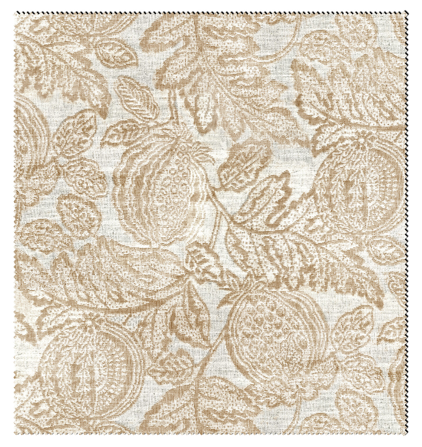 ROSEMARY-1186